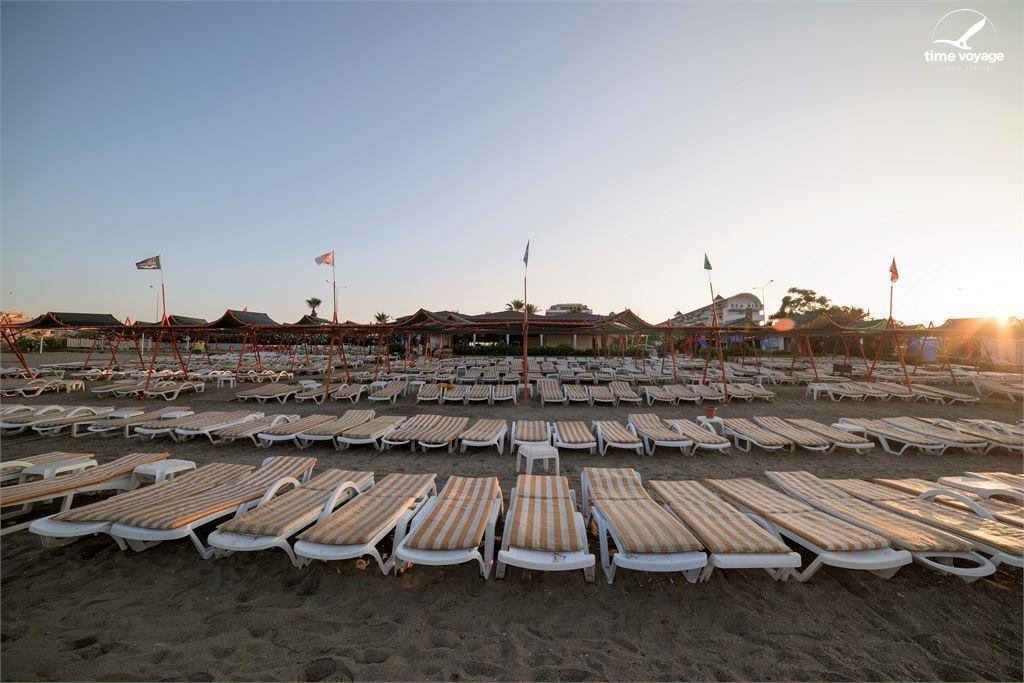 Картинка - 5