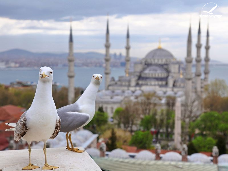 Картинка - 1