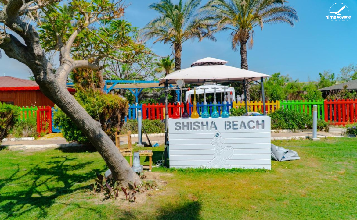 Картинка - 11