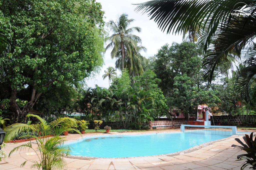 Картинка - 18