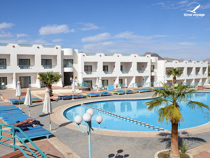 Картинка - 11