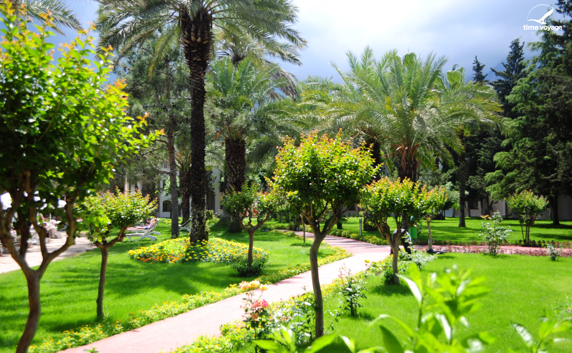 Картинка - 4