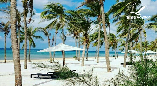 Картинка - 5