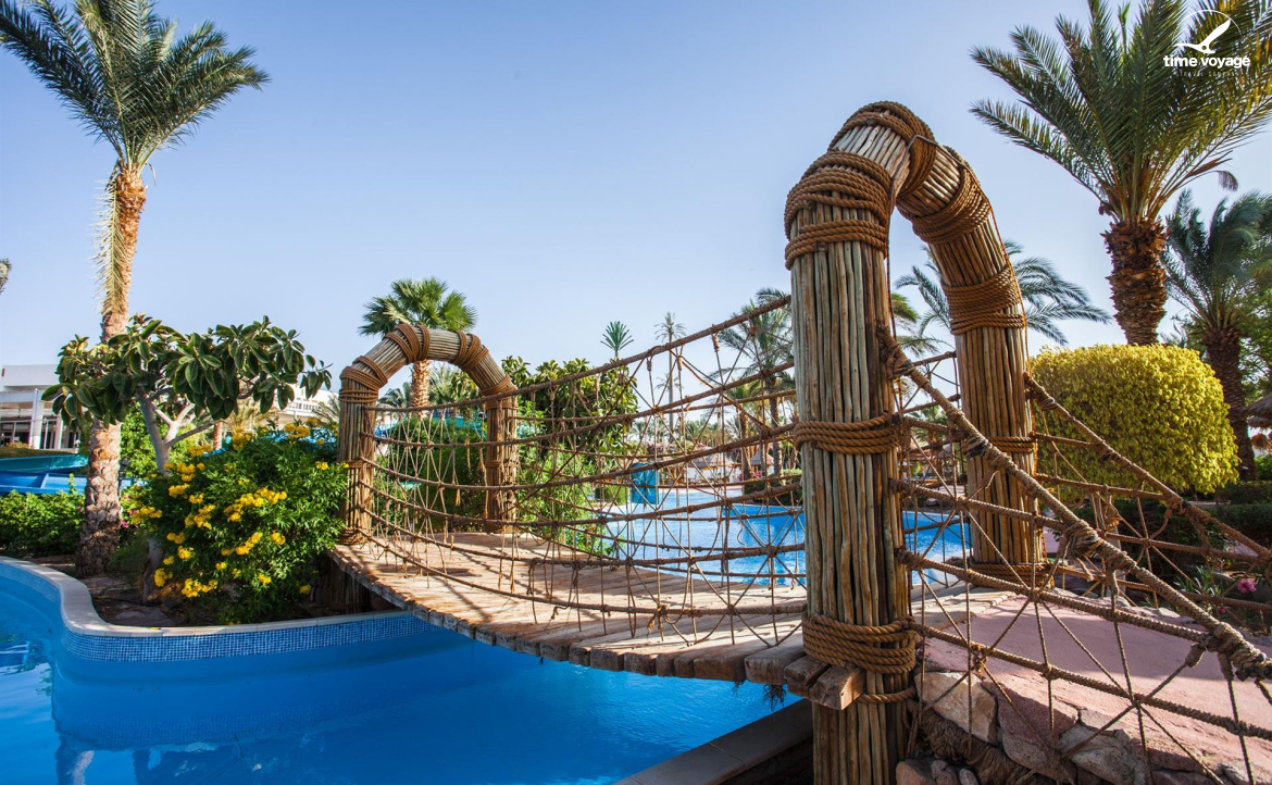 Картинка - 4