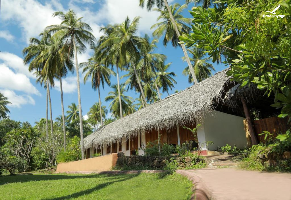 Картинка - 5