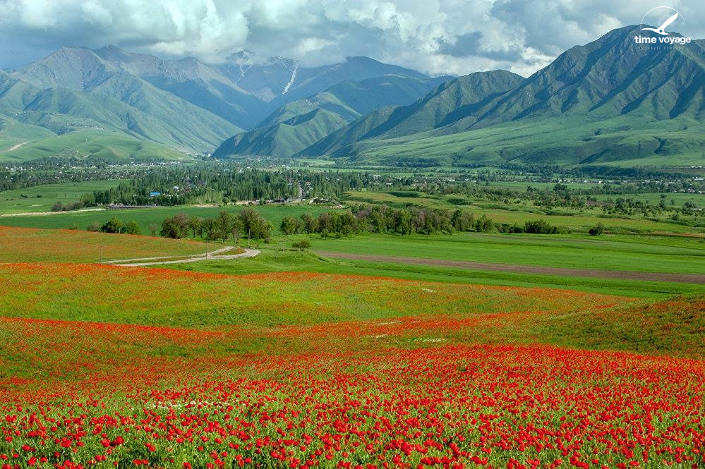 Картинка - 2