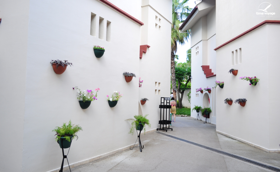 Картинка - 3