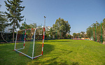 Картинка - 31