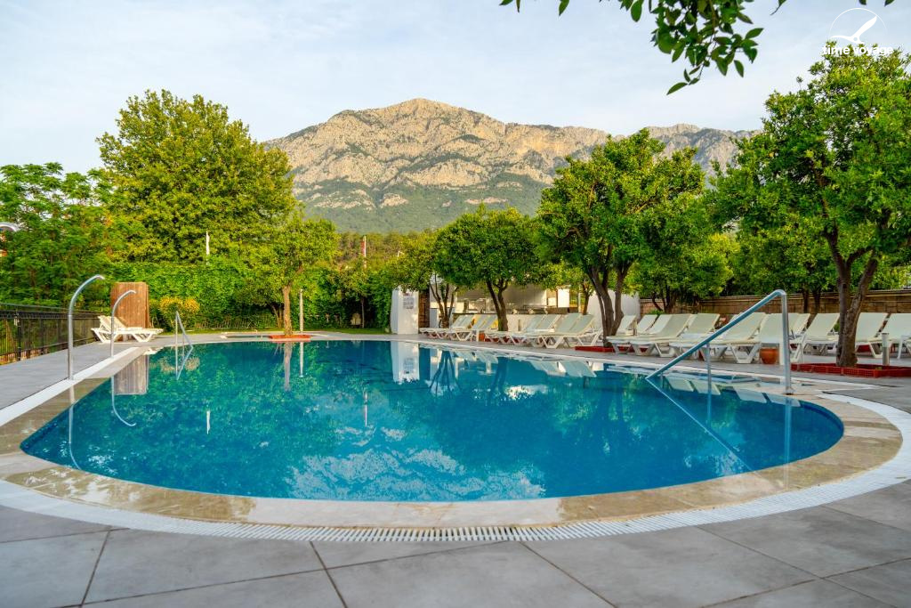 Картинка - 5