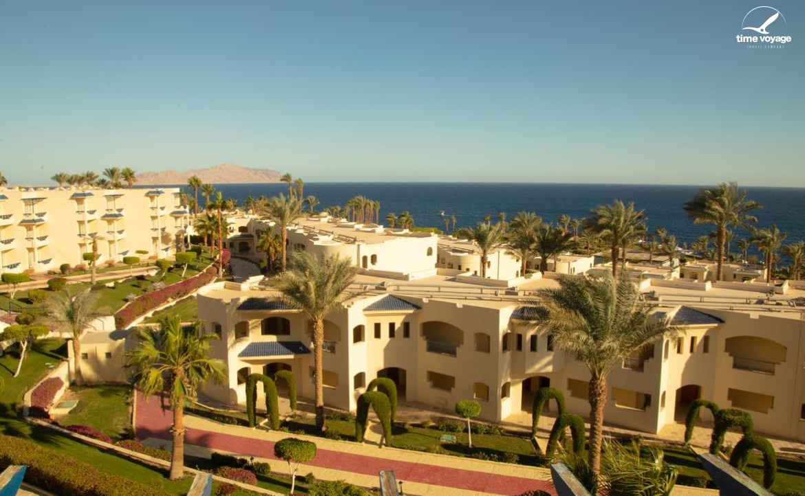 Картинка - 4