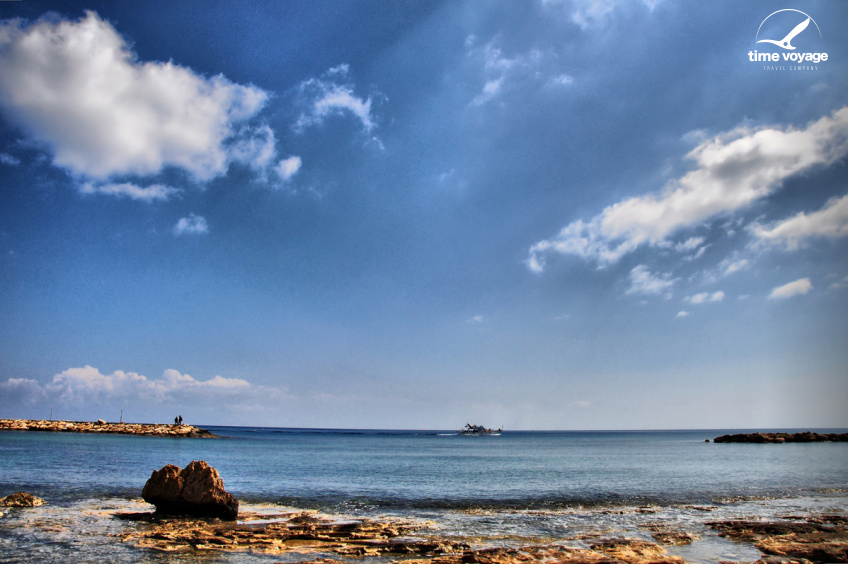 Картинка - 5