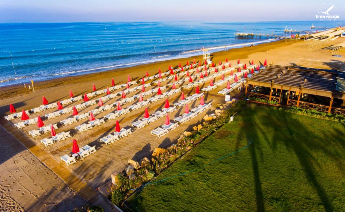 Картинка - 5