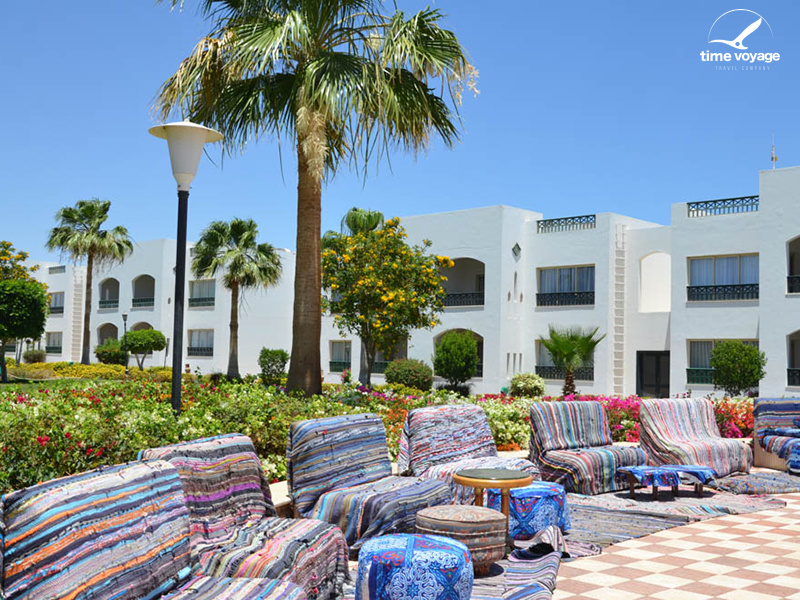 Картинка - 16