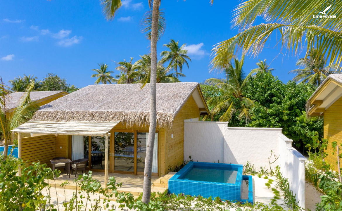 Картинка - 11