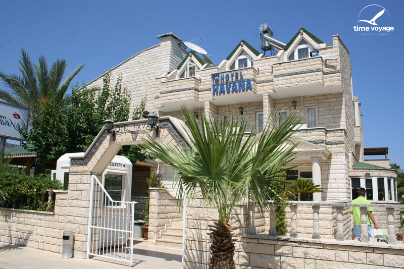 Картинка - 1