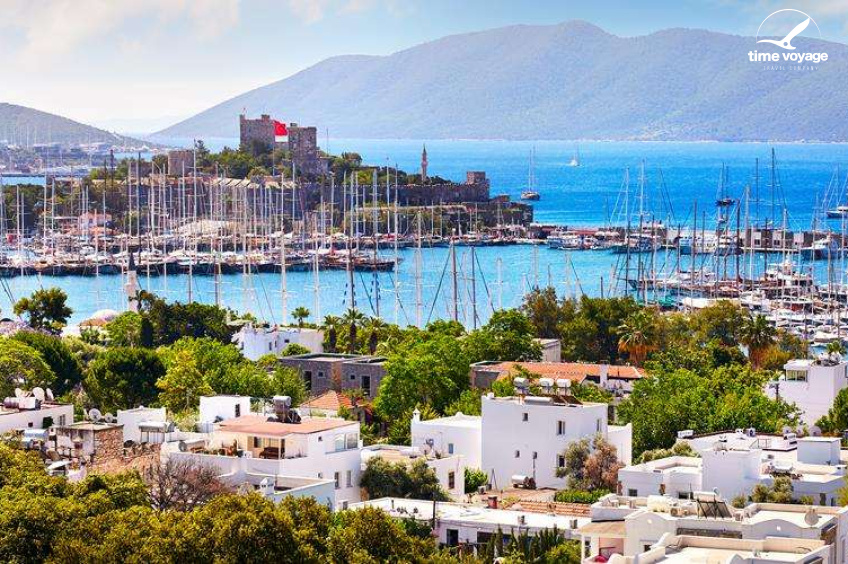 Картинка - 1