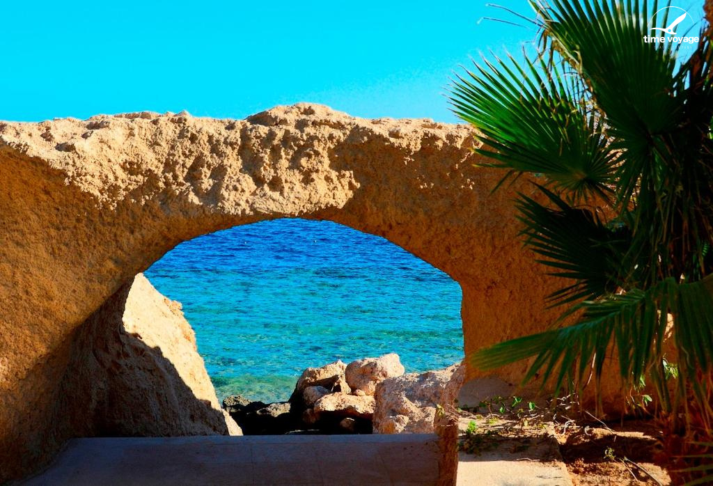 Картинка - 20