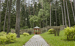 Картинка - 7