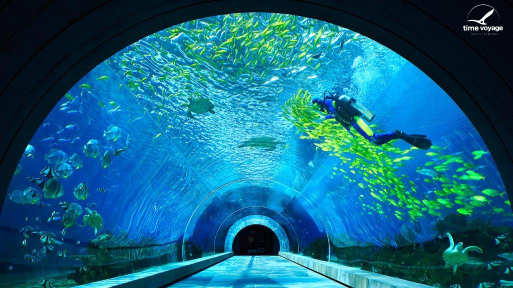 Картинка - 19