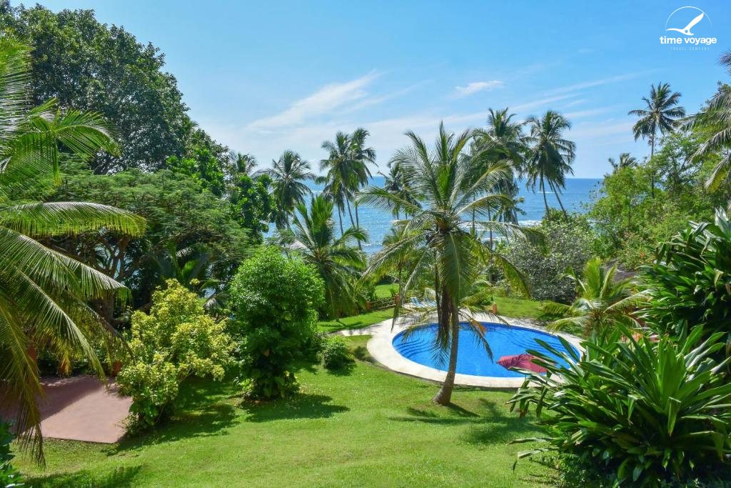 Картинка - 1