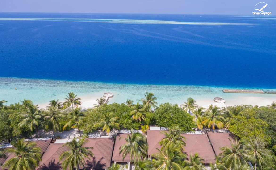 Картинка - 3