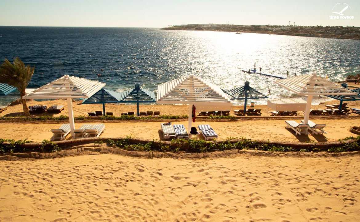 Картинка - 6