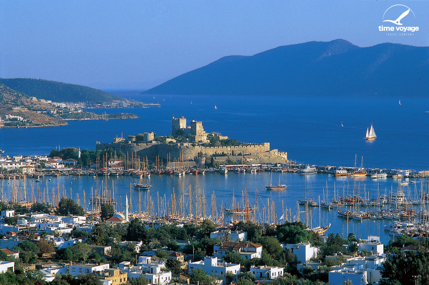 Картинка - 3