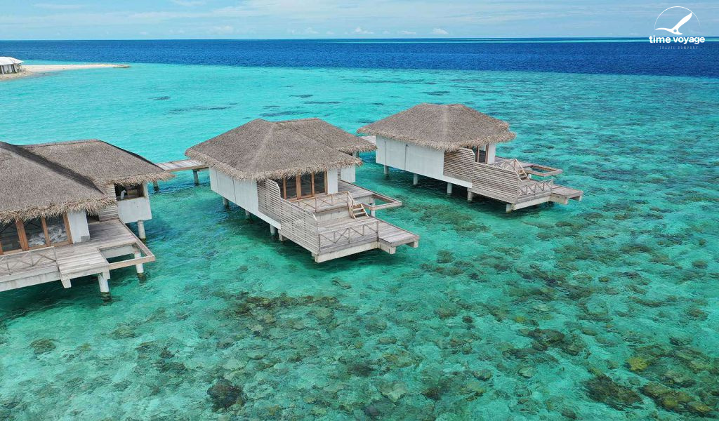 Картинка - 2