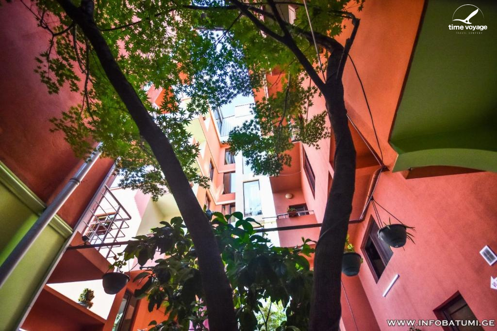 Картинка - 18