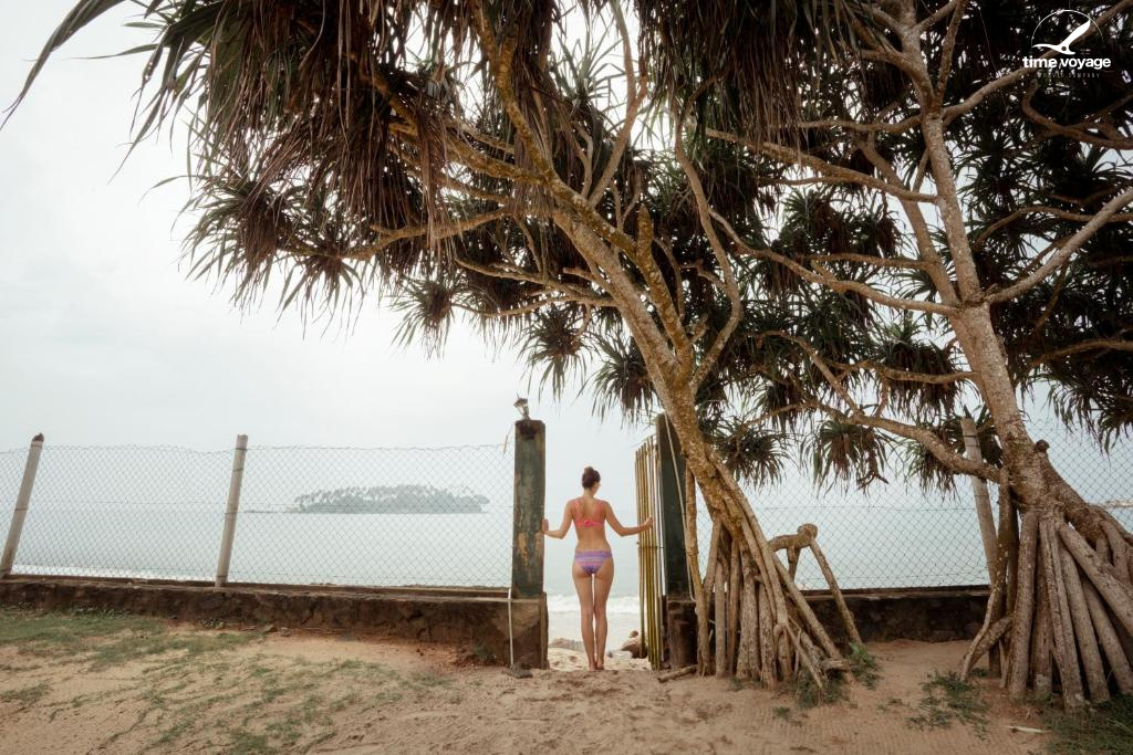 Картинка - 15