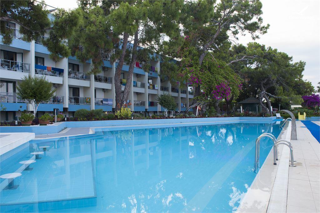 Картинка - 1