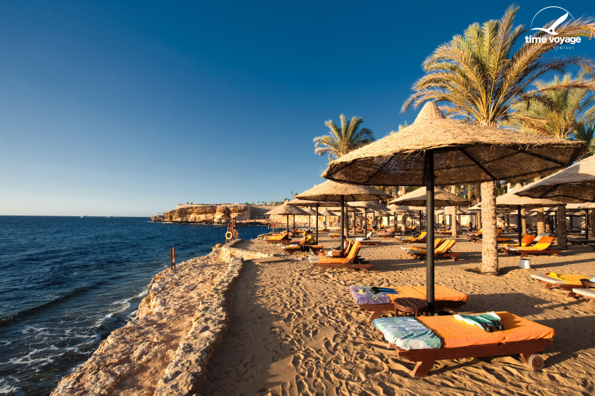 Картинка - 3