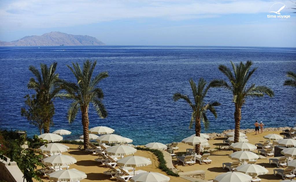 Картинка - 19