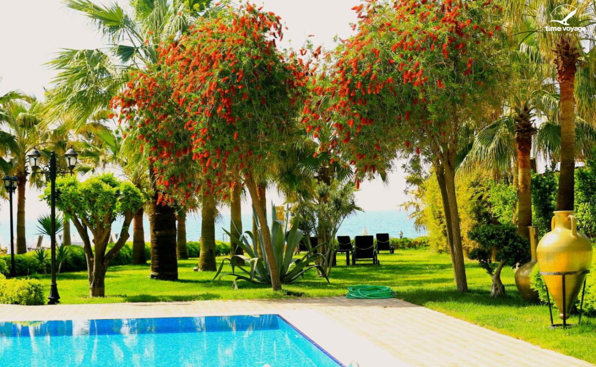 Картинка - 9