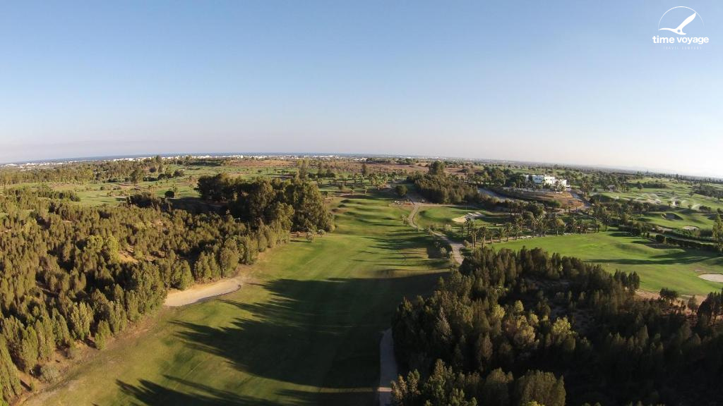 Картинка - 23