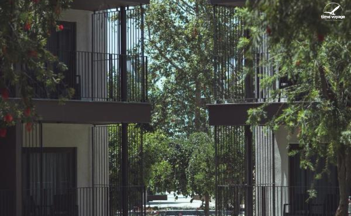 Картинка - 10