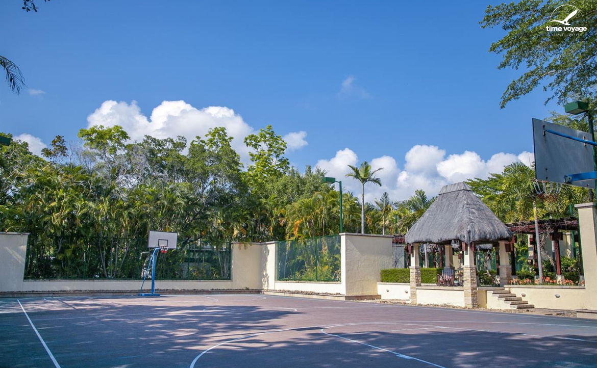 Картинка - 24