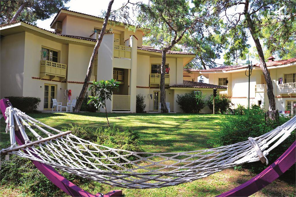 Картинка - 3