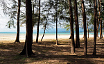 Картинка - 16