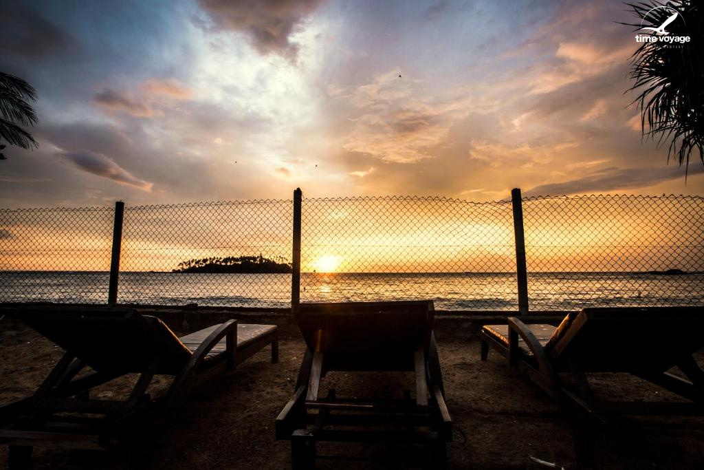 Картинка - 16