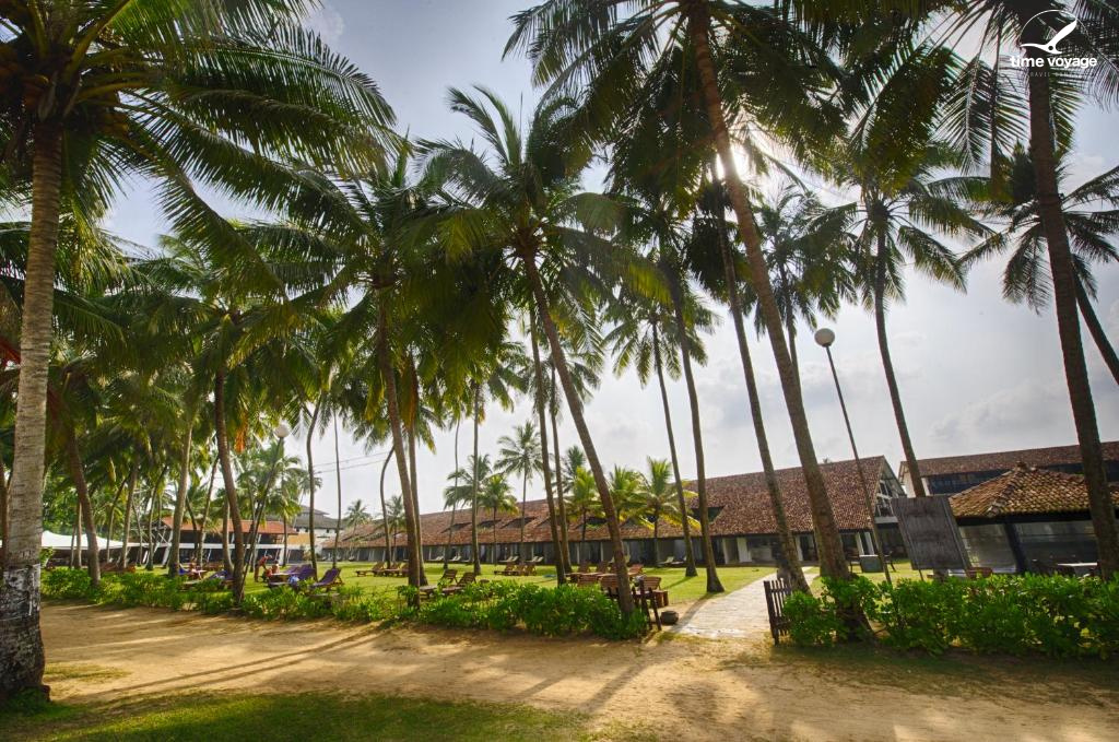 Картинка - 9