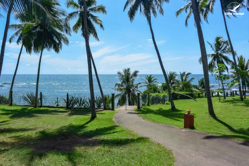 Картинка - 6