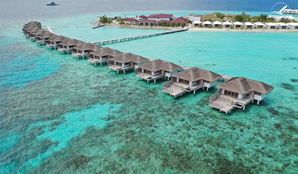 Картинка - 4