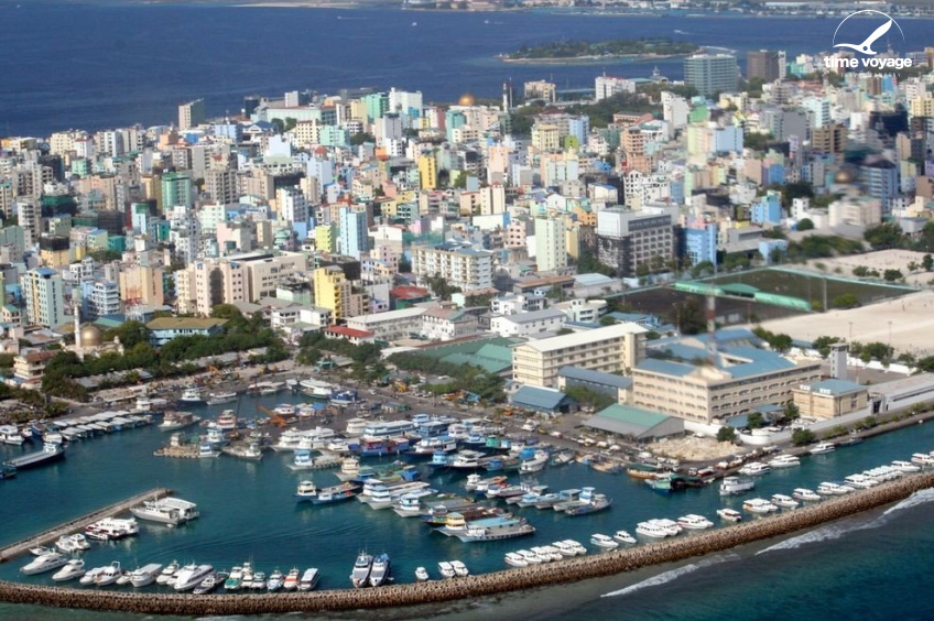 Картинка - 5