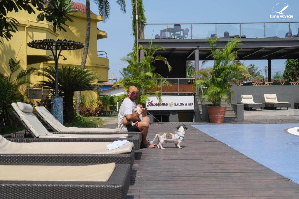 Картинка - 5