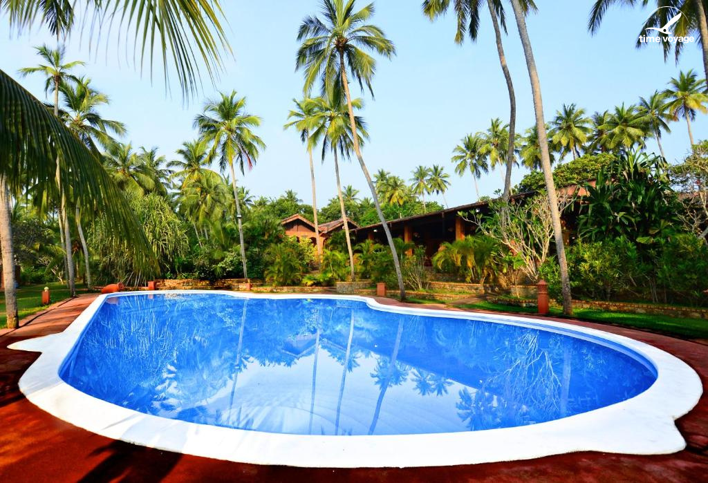 Картинка - 13