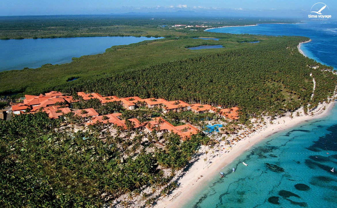 Картинка - 1