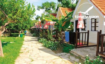 Картинка - 1