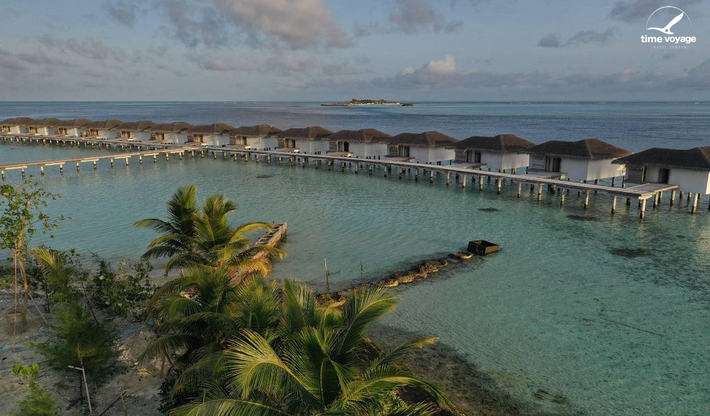 Картинка - 1