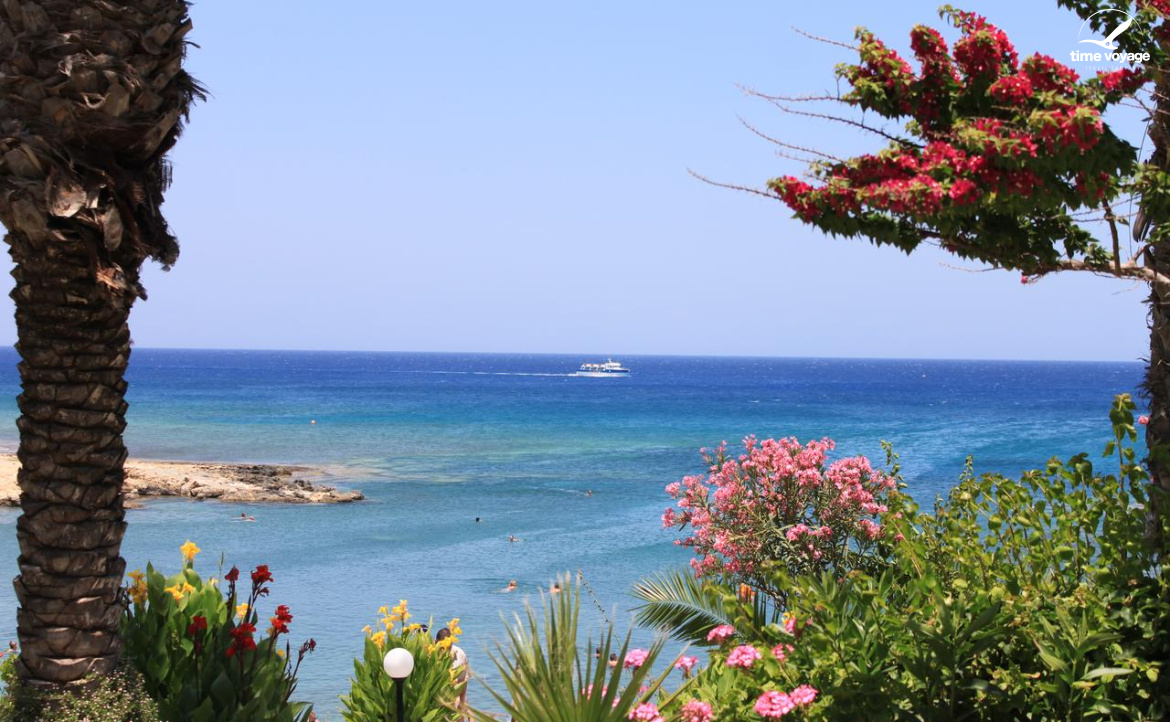 Картинка - 3